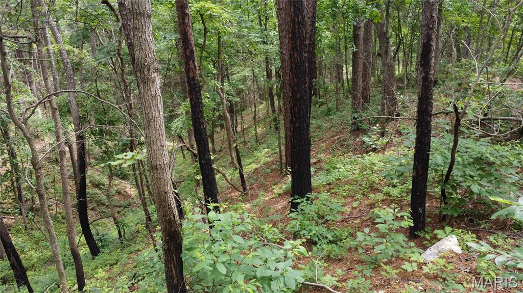 16477 State Hwy A Sullivan, MO 63080 - Photo 65 of 75