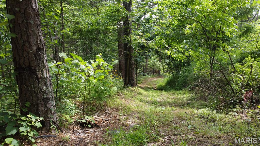 16477 State Hwy A Sullivan, MO 63080 - Photo 66 of 75