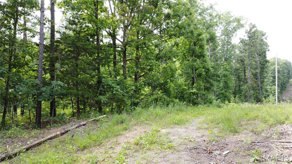 16477 State Hwy A Sullivan, MO 63080 - Photo 69 of 75