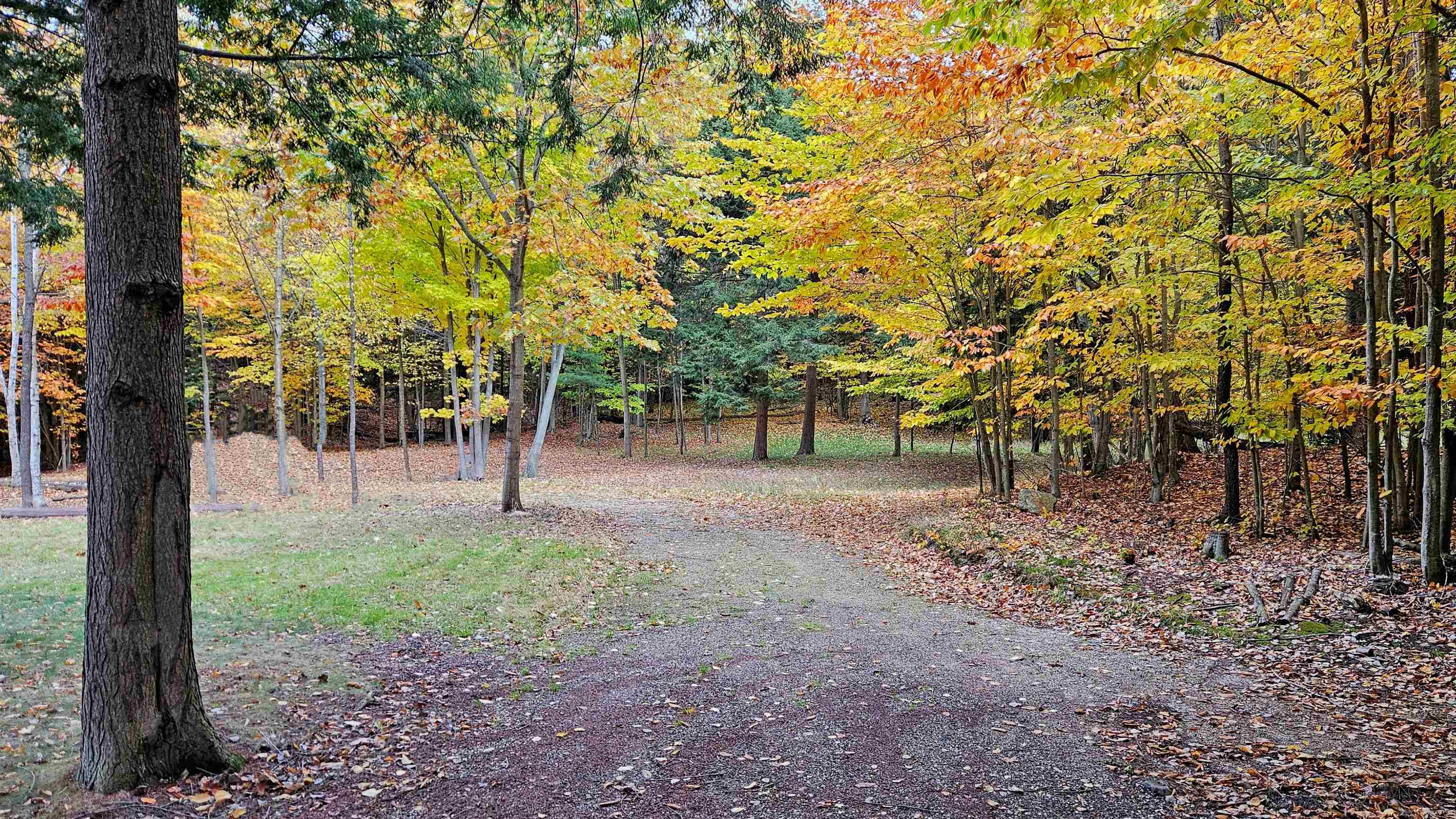 82-107 Moon Ridge Road, Unit LOT: 82,107 Onekama, MI 49675 - Photo 19 of 48
