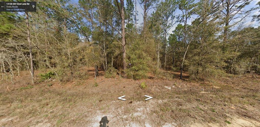 52 Southwest Lane Road Ocala, FL 34481 - Photo 1 of 1 Gallery Image 1