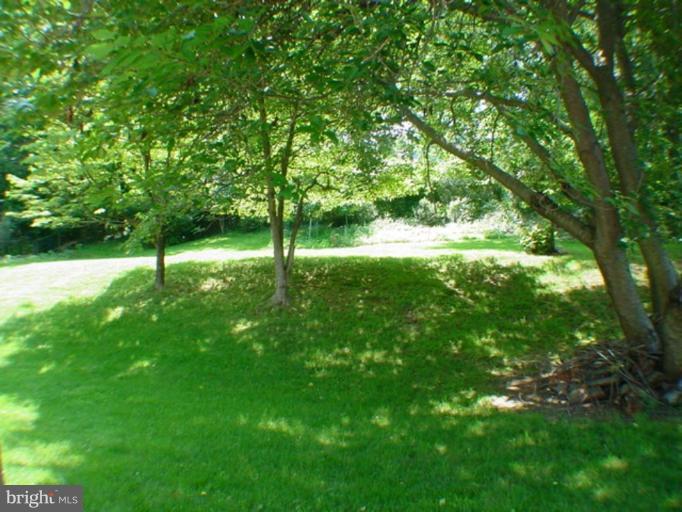 2408 Norbeck Road Silver Spring, MD 20906 - Photo 9 of 20 Deck - View from