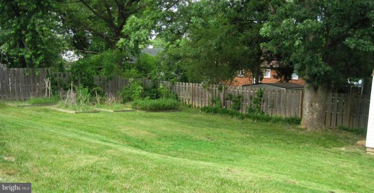 6013 Brunswick Street Springfield, VA 22150 - Photo 8 of 18 a view of a backyard