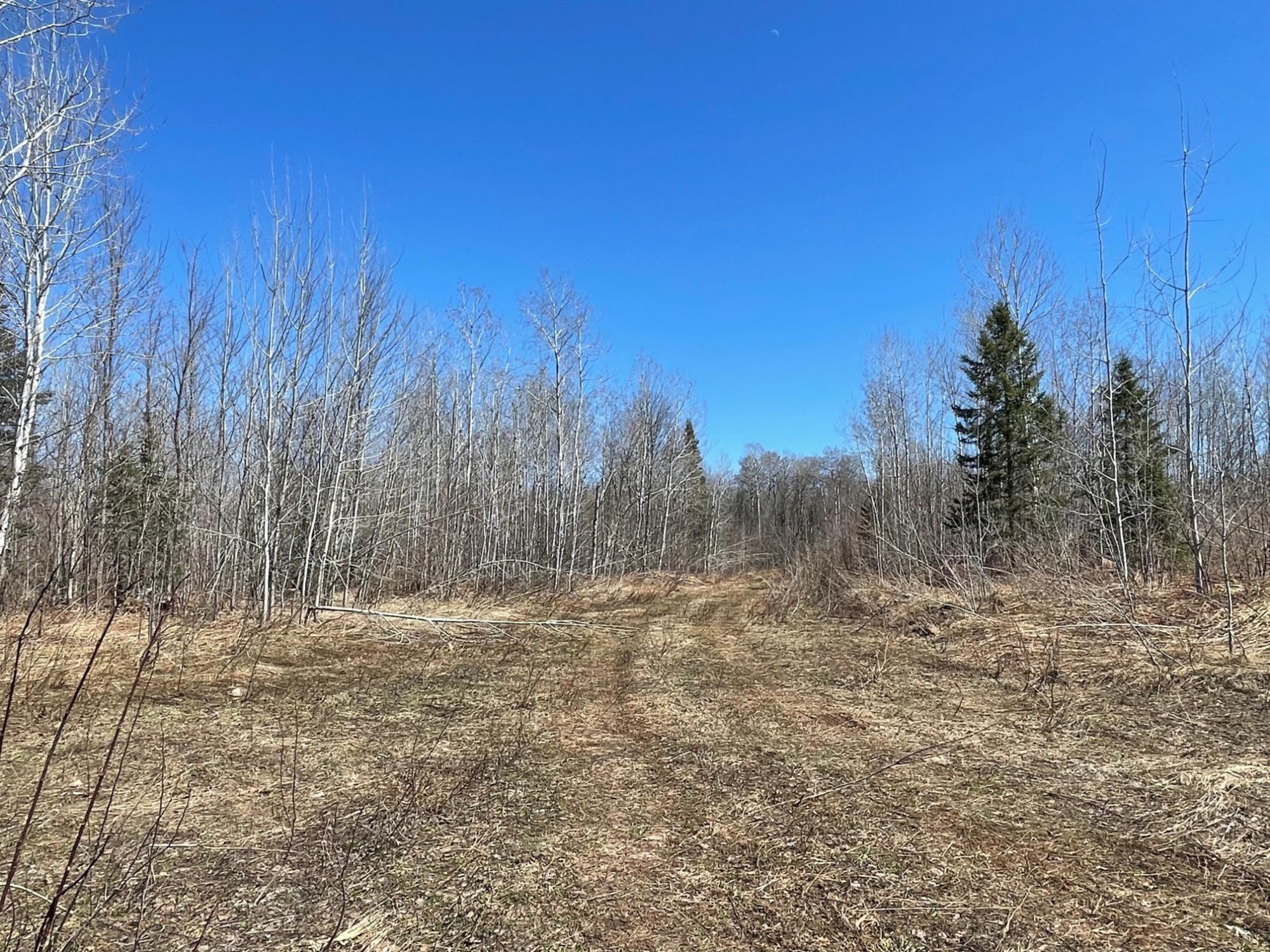 Tbd Tbd 519th Road Wakefield, MI 49968 - Photo 9 of 18