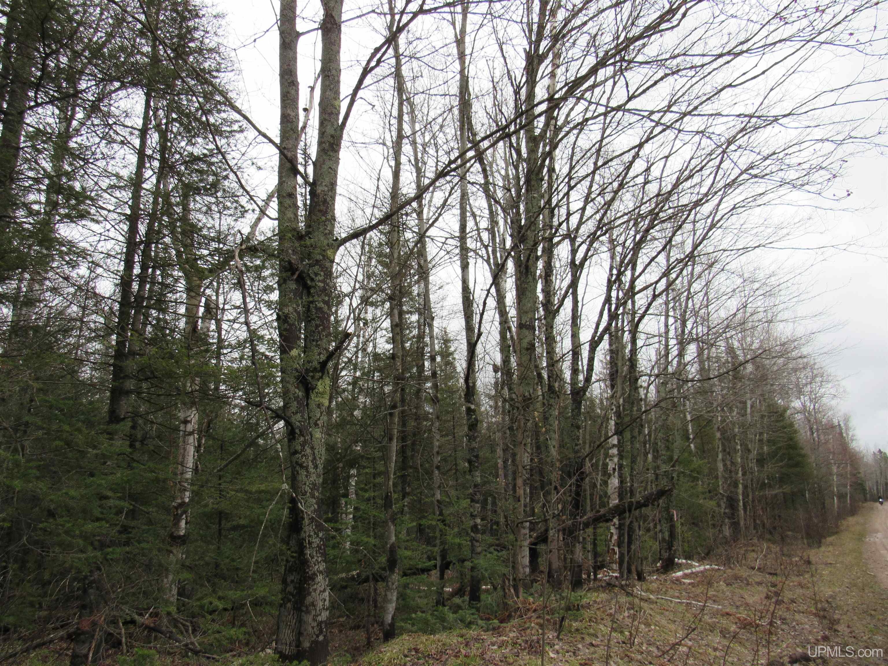 Tbd Deerton-sand Lake Road Deerton, MI 49822 - Photo 2 of 23
