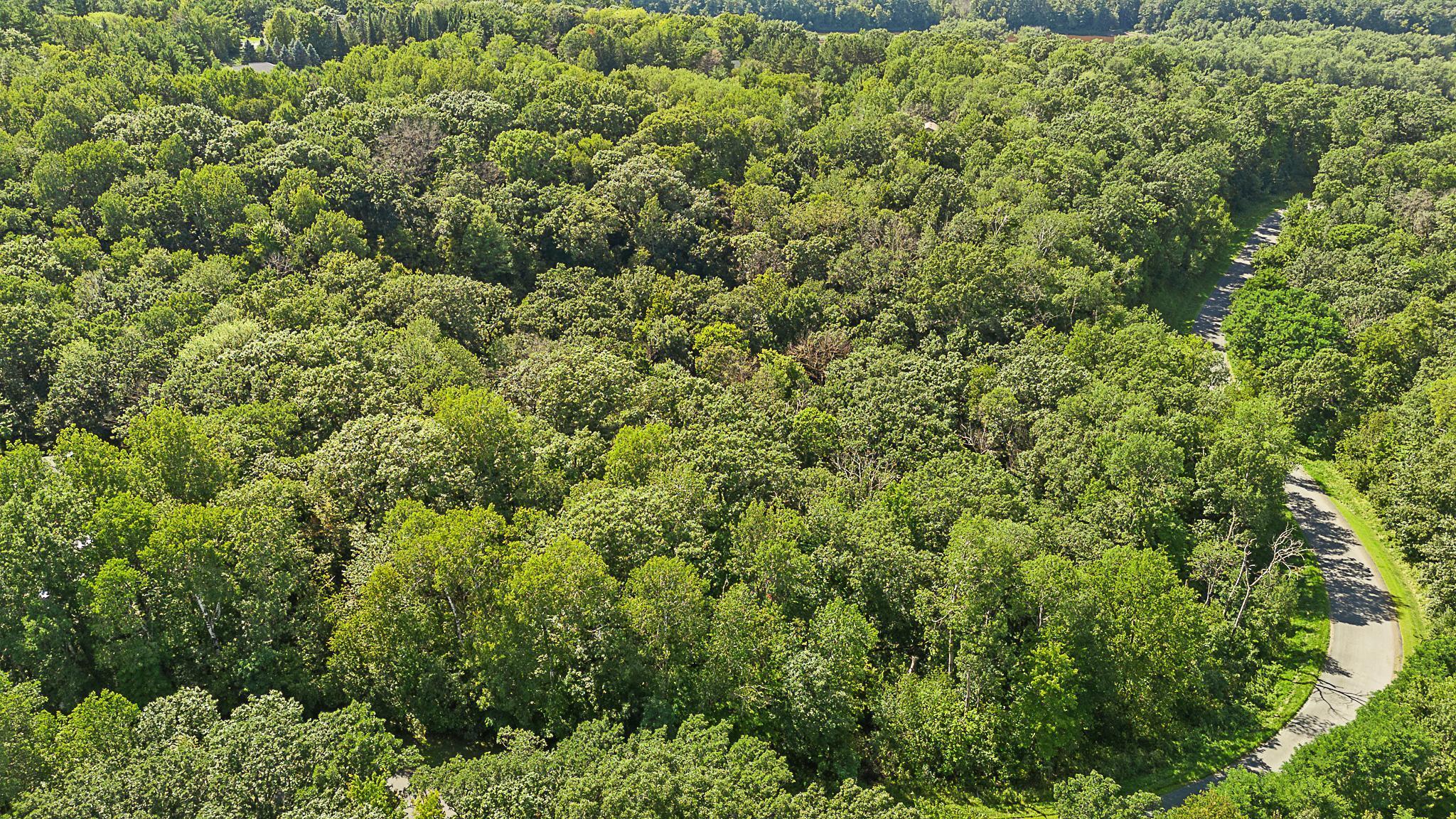 Tbd Delong Road Osceola, WI 54020 - Photo 2 of 12
