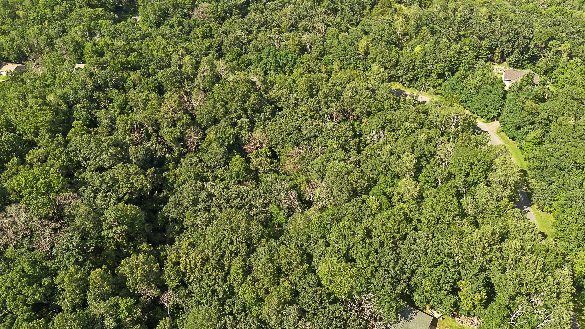 Tbd Delong Road Osceola, WI 54020 - Photo 5 of 12