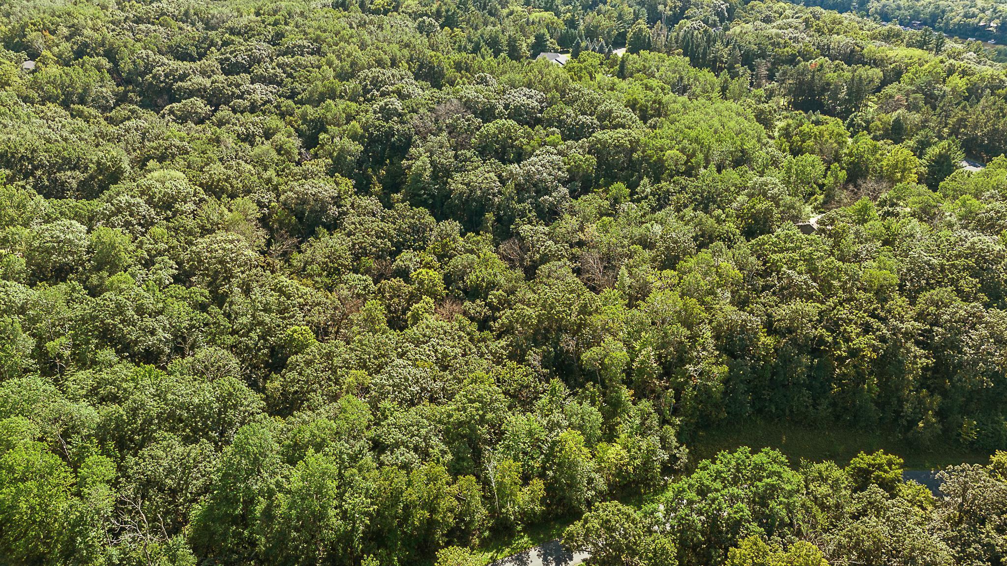 Tbd Delong Road Osceola, WI 54020 - Photo 6 of 12