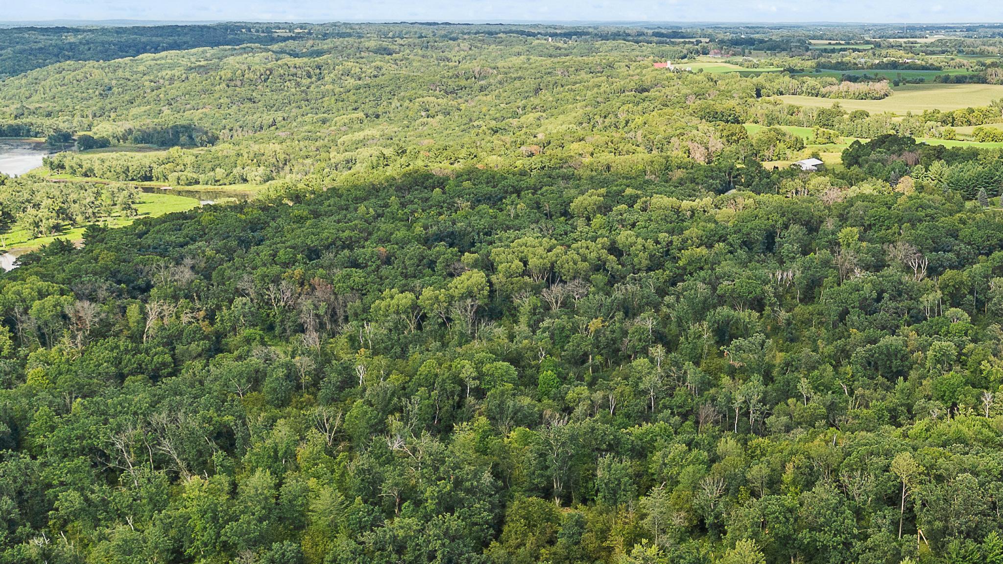 Tbd Delong Road Osceola, WI 54020 - Photo 8 of 12