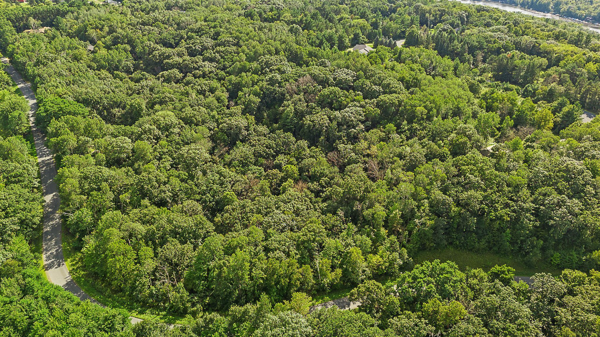 Tbd Delong Road Osceola, WI 54020 - Photo 10 of 12