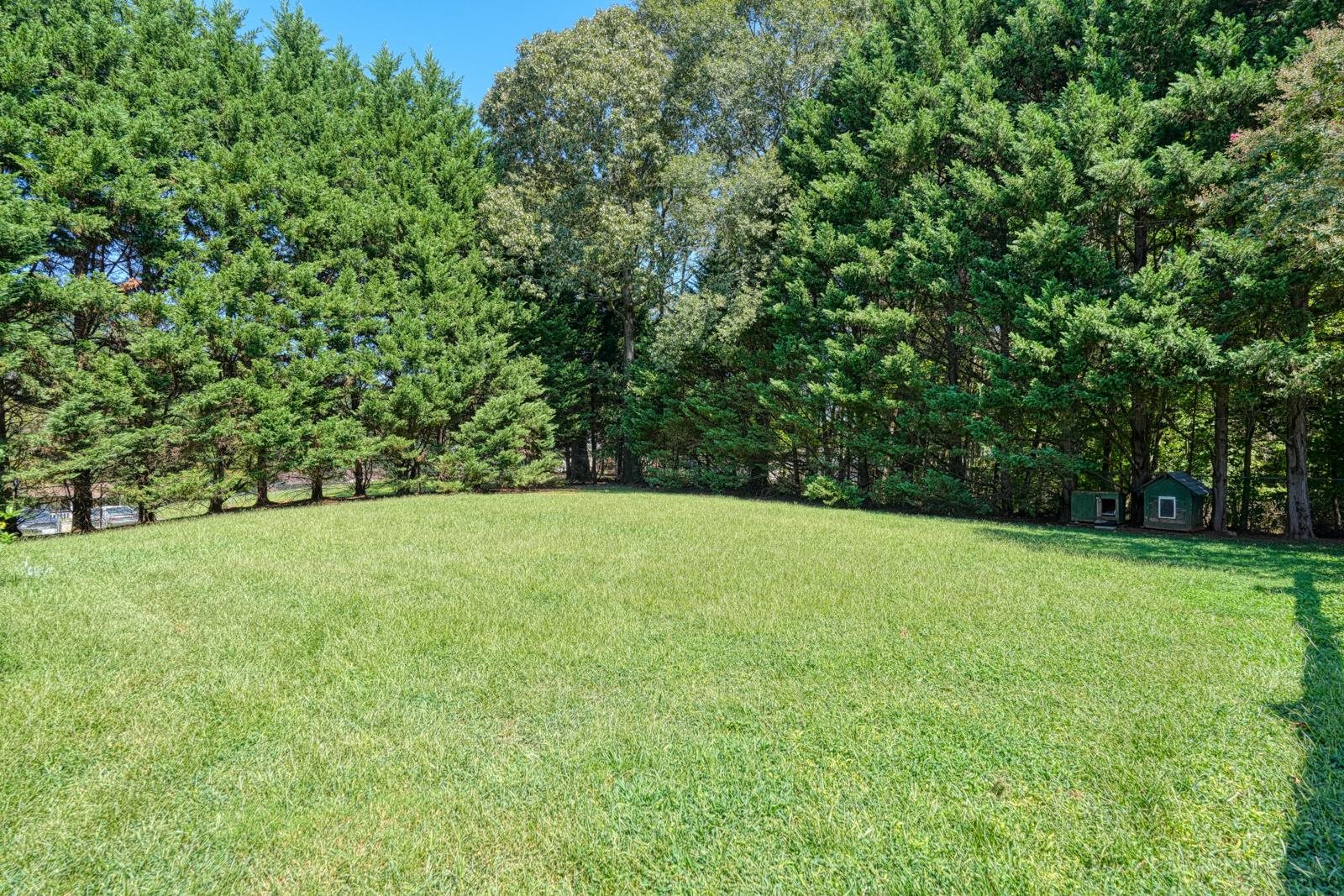 107 Allison Street Lyman, SC 29365 - Photo 36 of 48