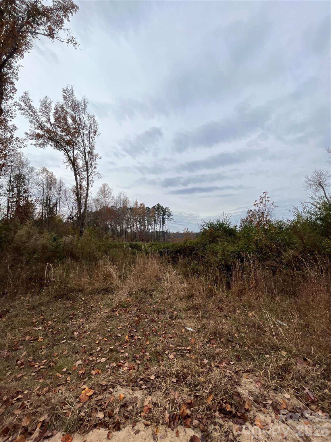 2 Rd Cheraw Sc 29520 Road Cheraw, SC 29520 - Photo 2 of 9