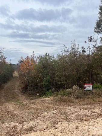 a view of a garden with mountain view