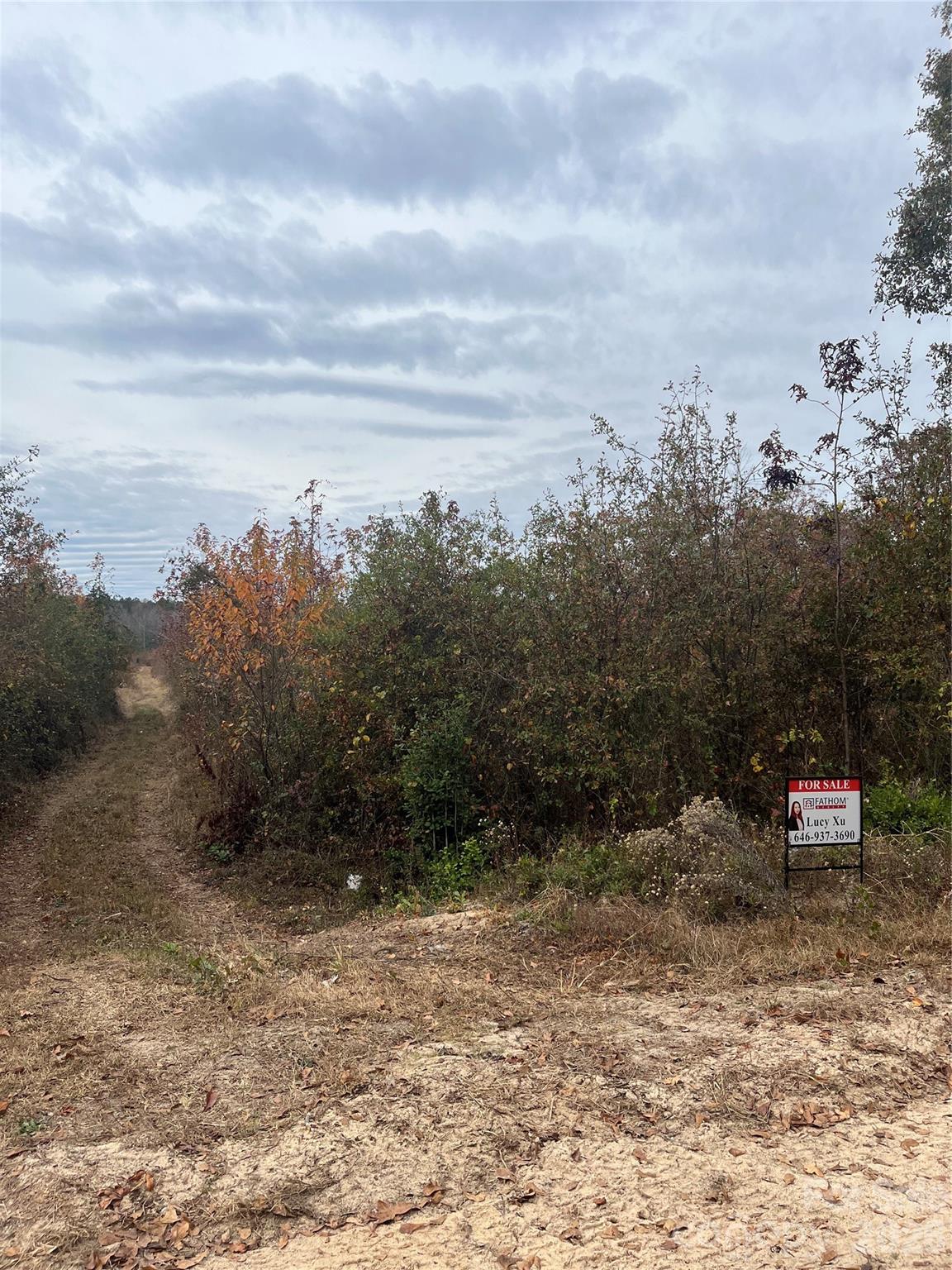 2 Rd Cheraw Sc 29520 Road Cheraw, SC 29520 - Photo 4 of 9