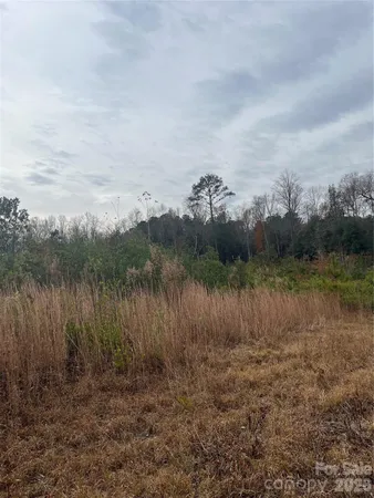 a view of a lake with a mountain in the background