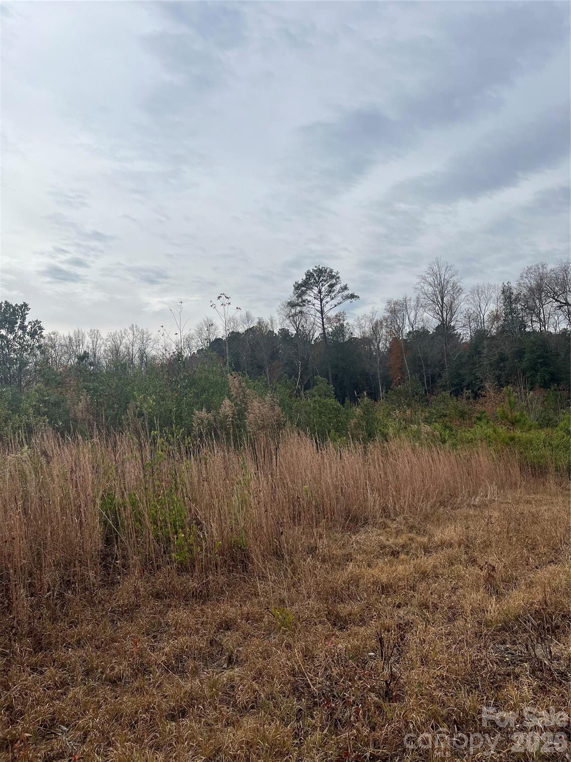2 Rd Cheraw Sc 29520 Road Cheraw, SC 29520 - Photo 6 of 9