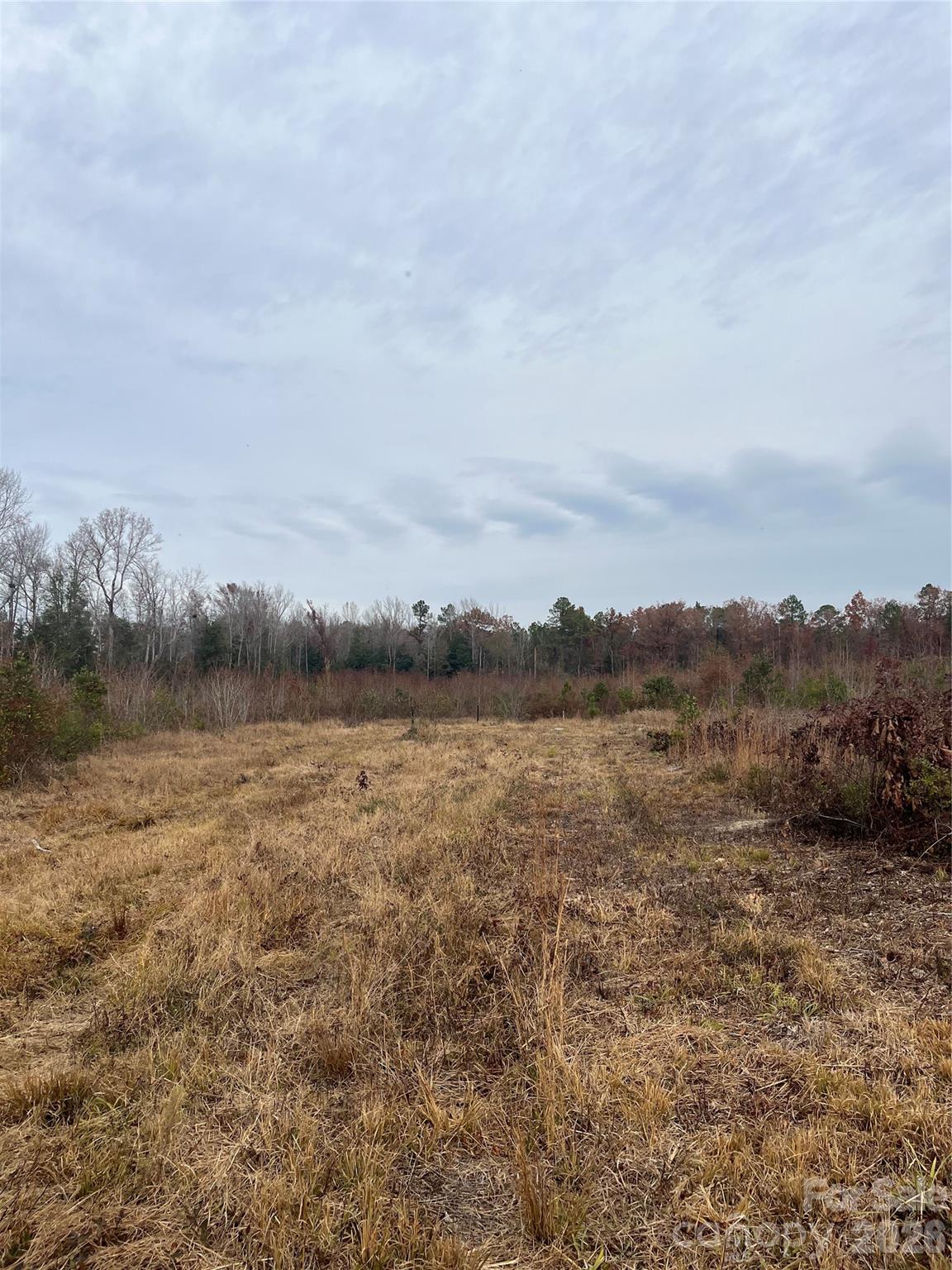 2 Rd Cheraw Sc 29520 Road Cheraw, SC 29520 - Photo 8 of 9