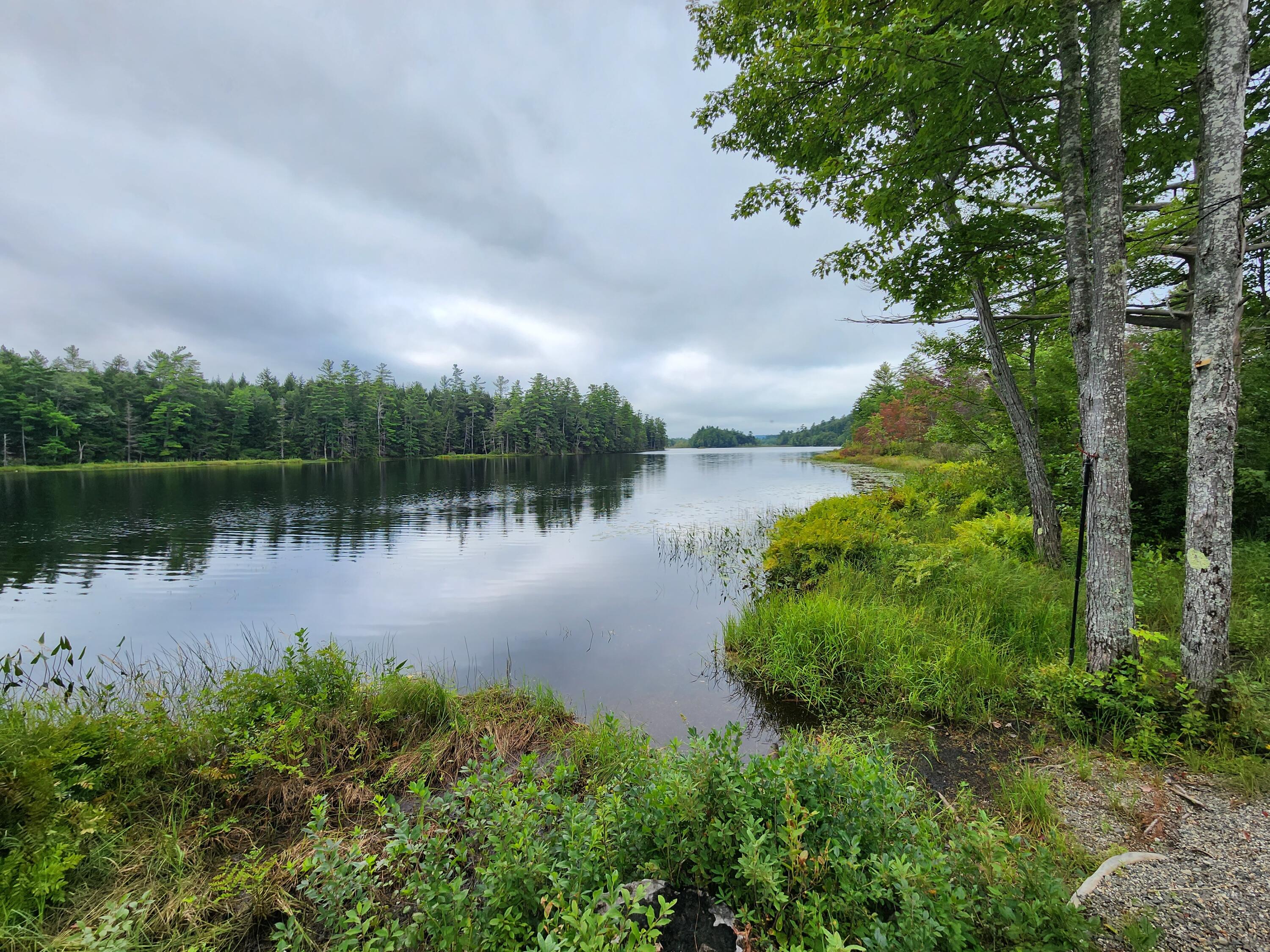 233 Chesterville Ridge Road Fayette, ME 04349 - Photo 1 of 11 Peace & Quite!