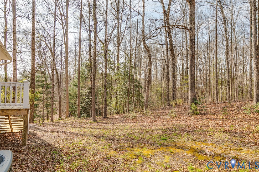 3030 Clintwood Road Midlothian, VA 23112 - Photo 43 of 43