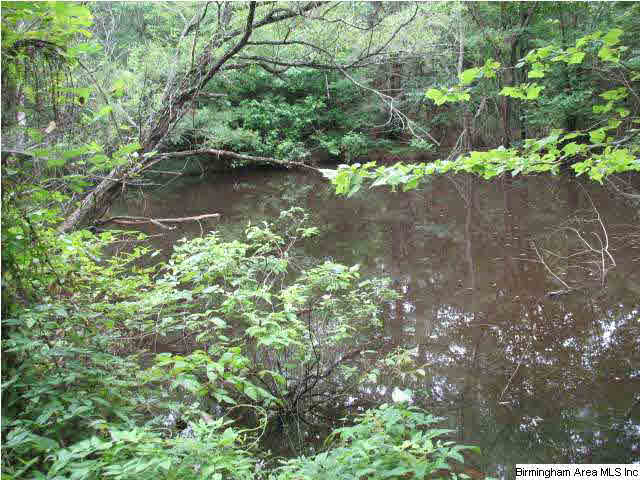 0 Rockcrusher Road, Unit 10 AC Steele, AL 35987 - Photo 7 of 8