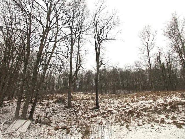 a view of a yard with trees