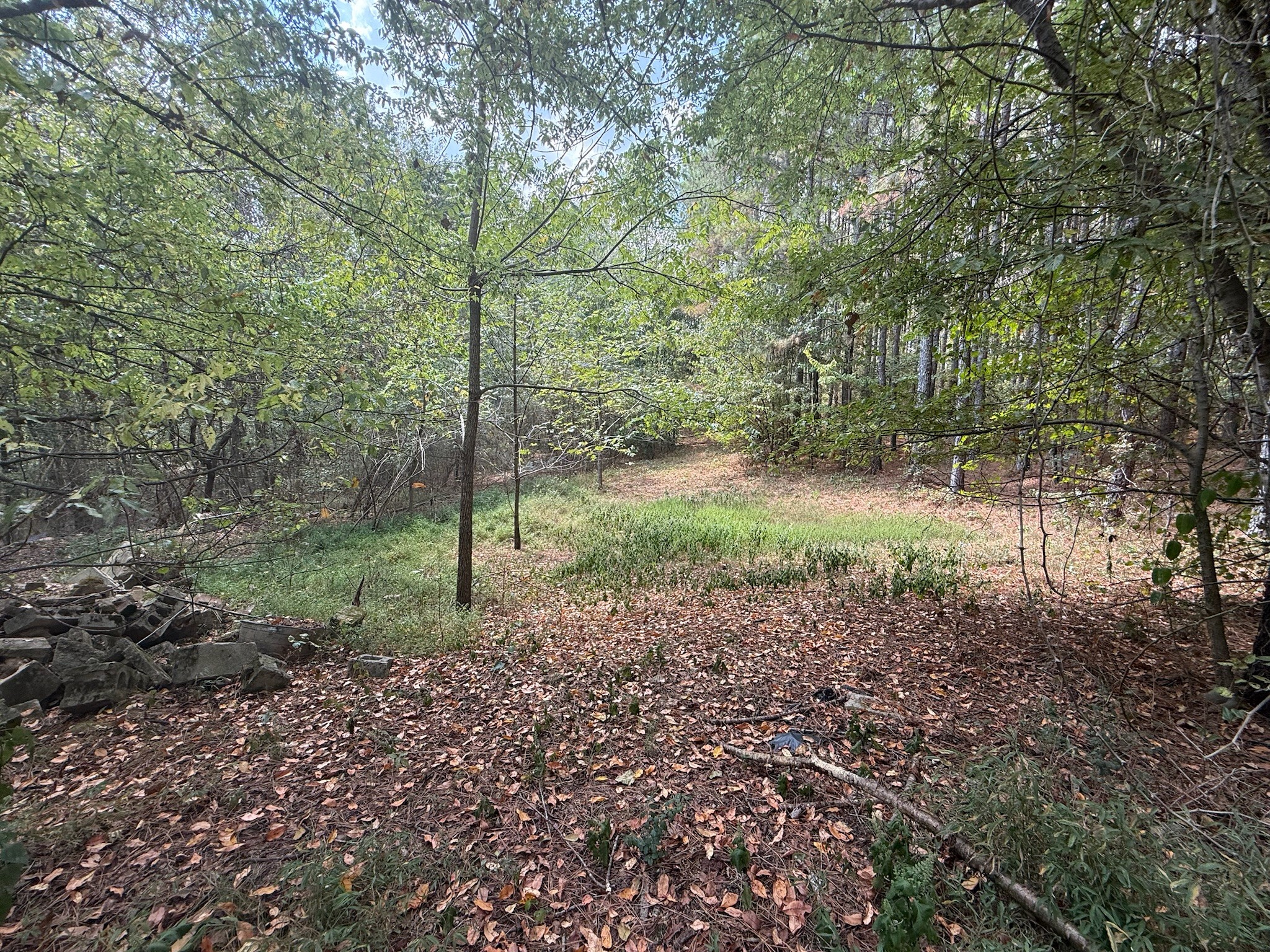 145 Brier Hill Road Ethridge, TN 38456 - Photo 55 of 64
