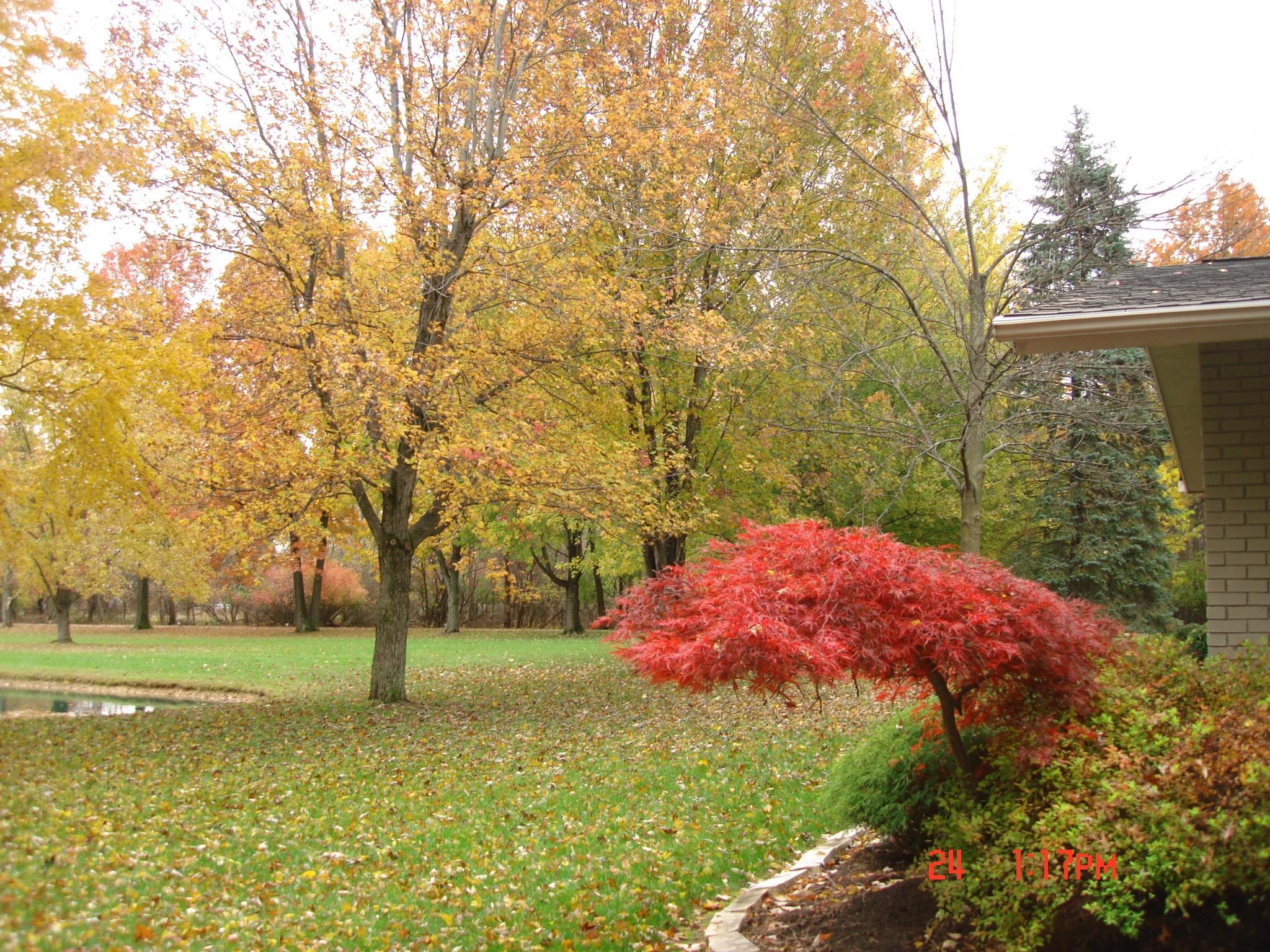 7300 Cubbage Road Westerville, OH 43081 - Photo 30 of 38 Gallery Image 30