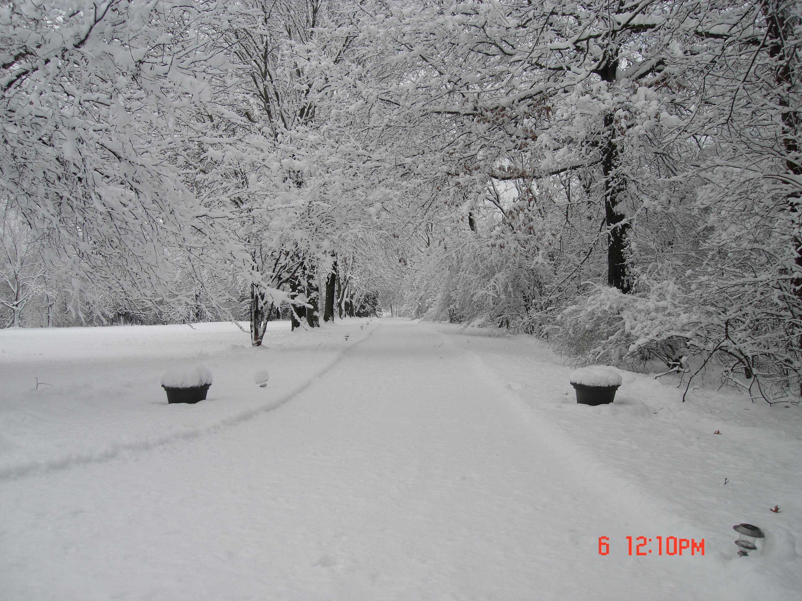 7300 Cubbage Road Westerville, OH 43081 - Photo 34 of 38 Gallery Image 34