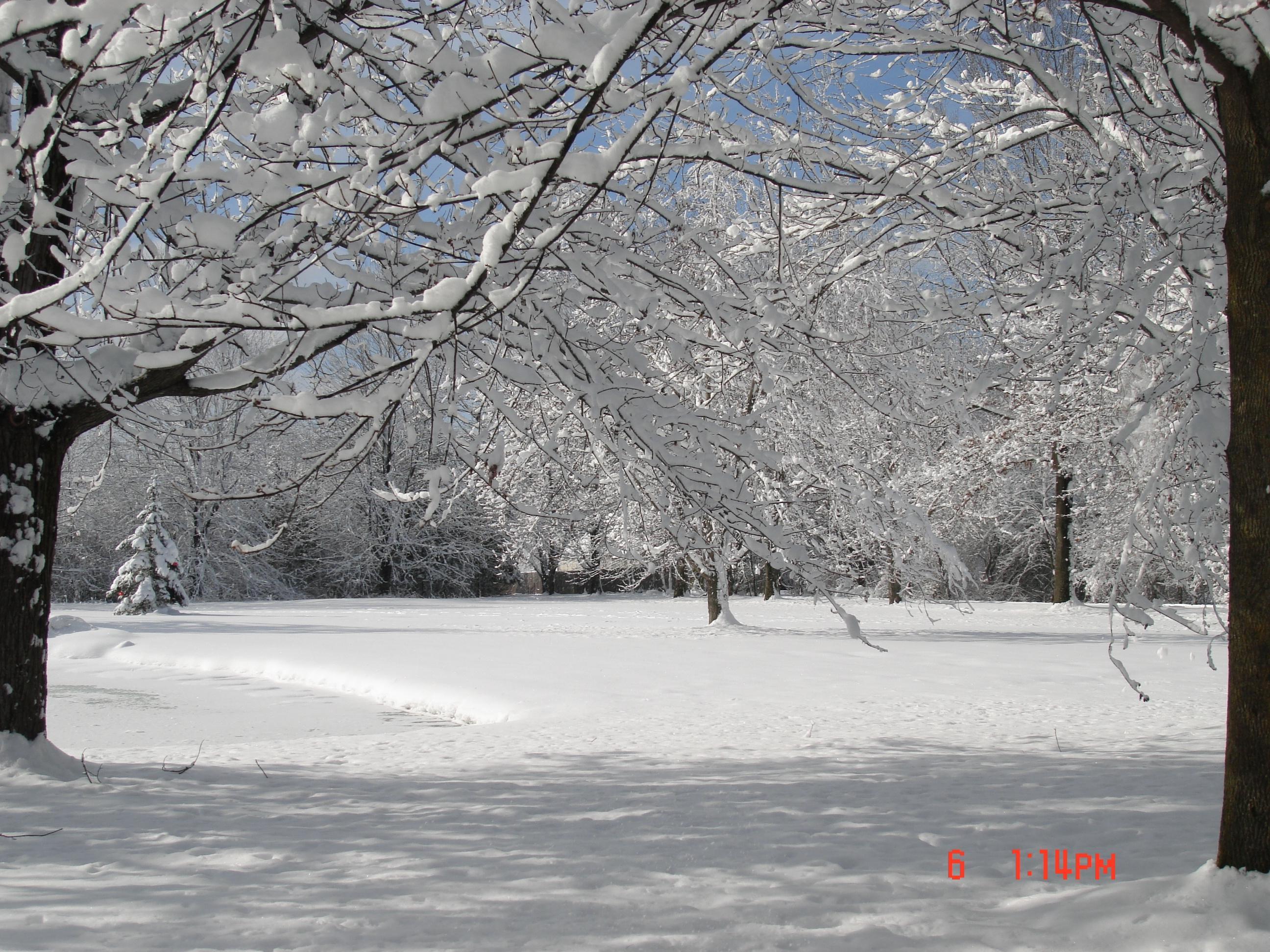 7300 Cubbage Road Westerville, OH 43081 - Photo 36 of 38 Gallery Image 36