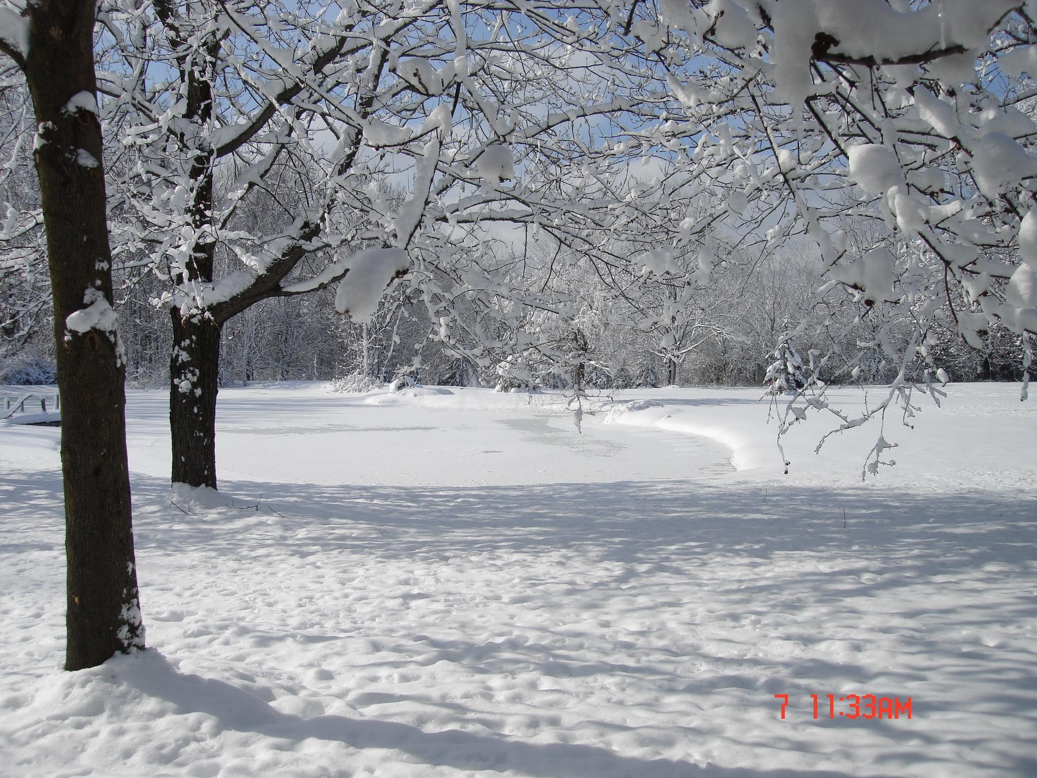 7300 Cubbage Road Westerville, OH 43081 - Photo 38 of 38 Gallery Image 38
