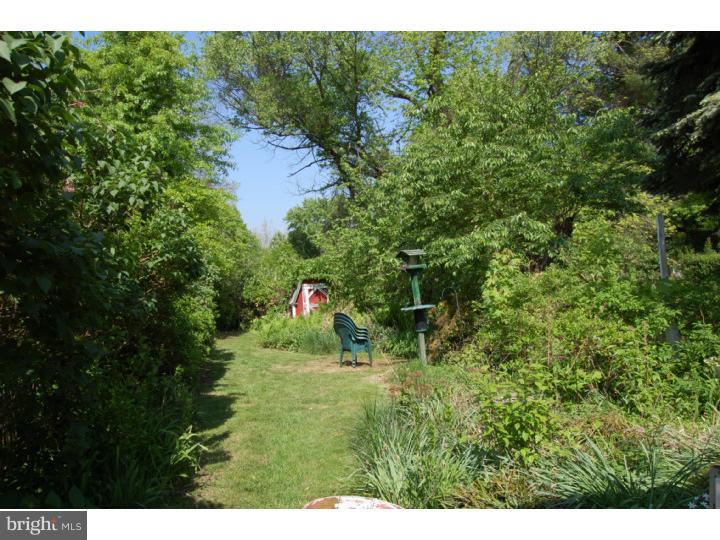 314 Highland Road Cheltenham, PA 19012 - Photo 3 of 17 Back Yard