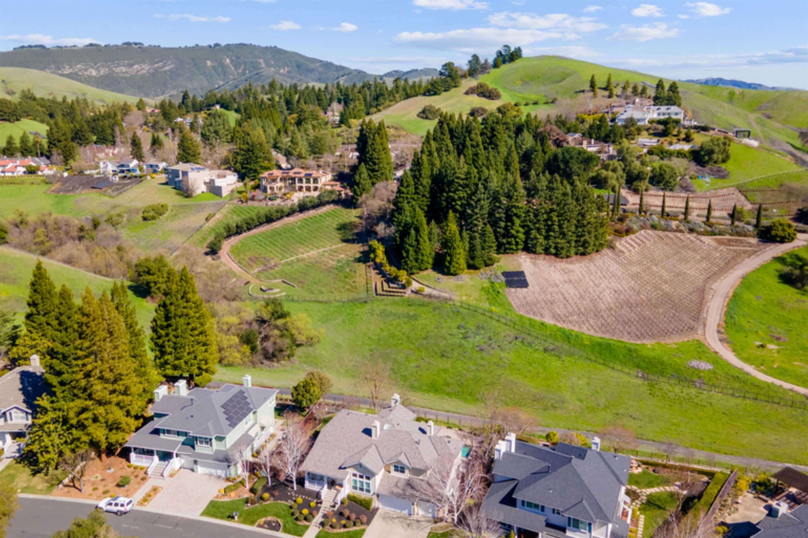 138 Sunhaven Road Danville, CA 94506 - Photo 6 of 9