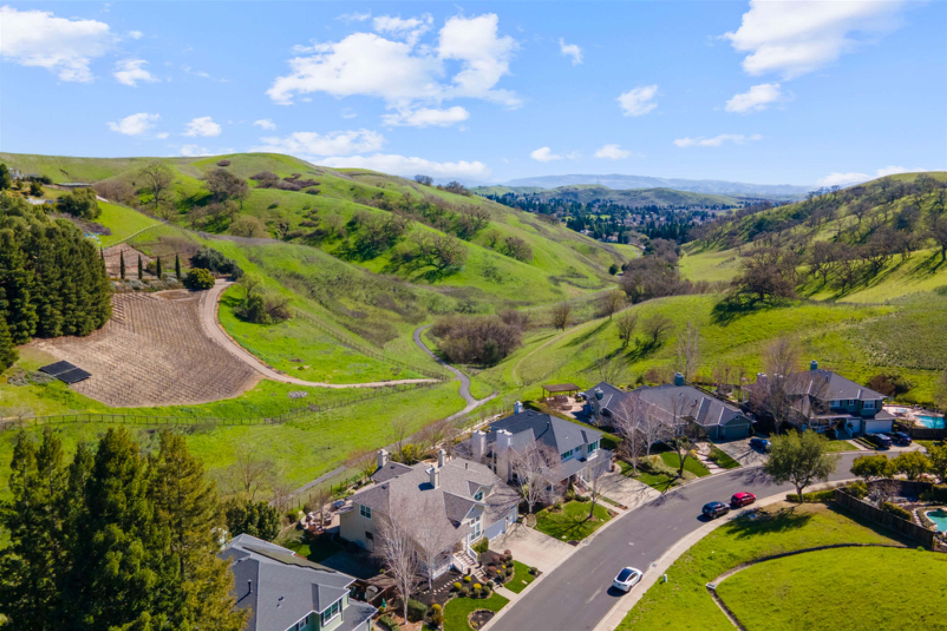 138 Sunhaven Road Danville, CA 94506 - Photo 8 of 9