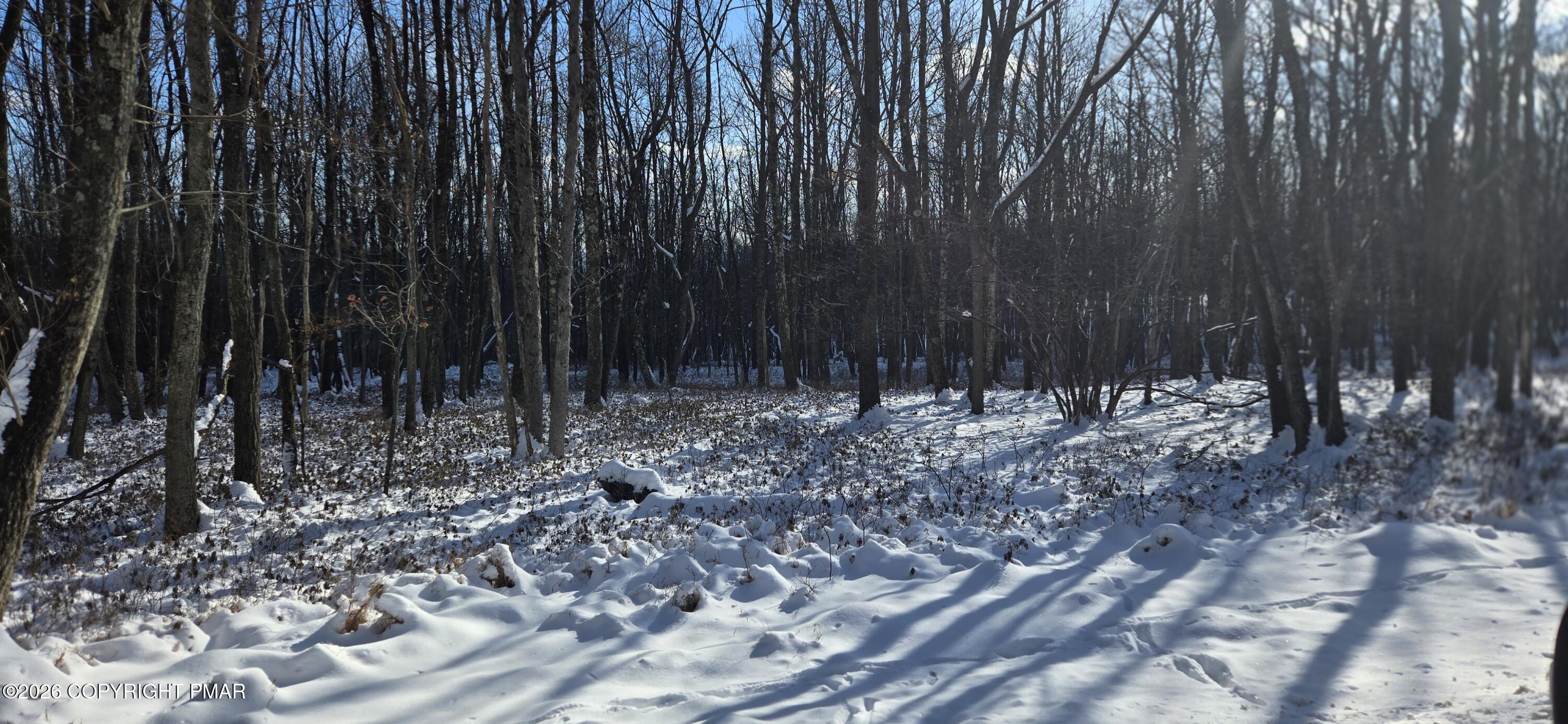 Ep2152 A North Old Stage Road Albrightsville, PA 18210 - Photo 1 of 1 a view of outdoor space with trees