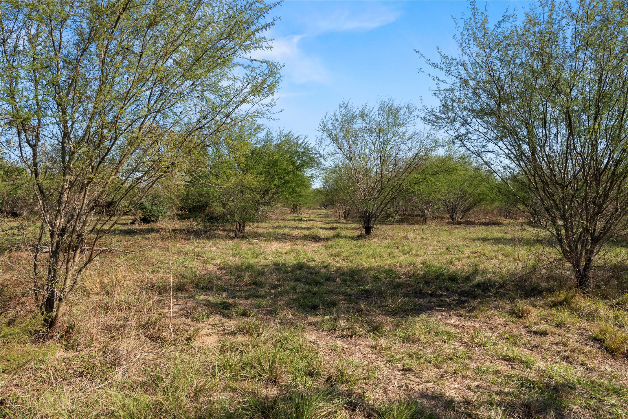 6490 Adams Flat Road Brookshire, TX 77423 - Photo 24 of 39 Gallery Image 24