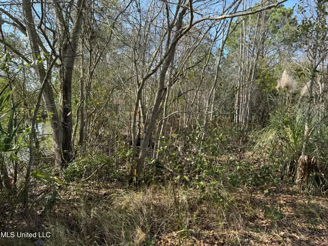 $89,900 | 125 Edith Drive, Bay St. Louis, MS 39520