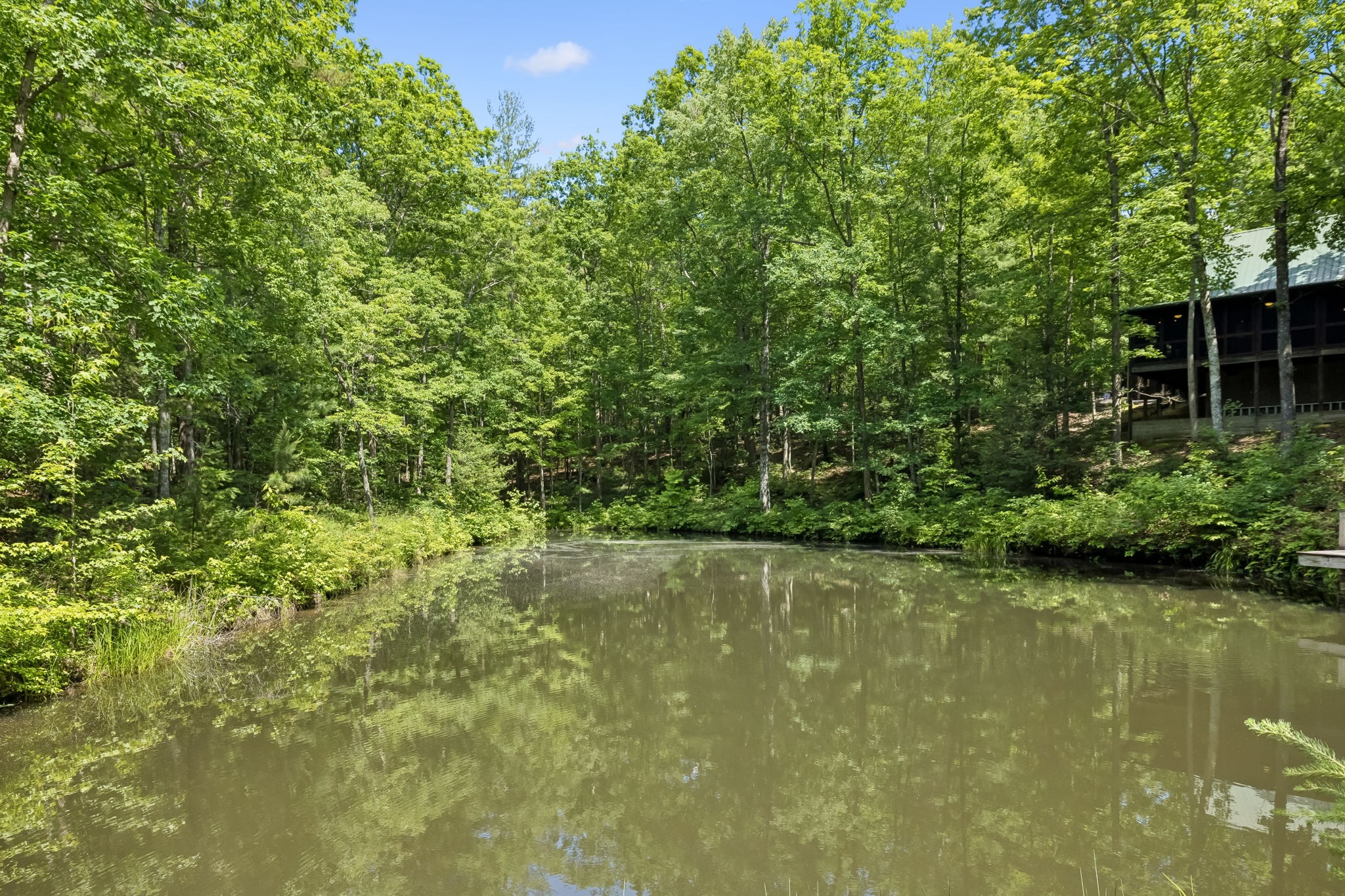 340 Doe Ridge Road Oneida, TN 37841 - Photo 60 of 99