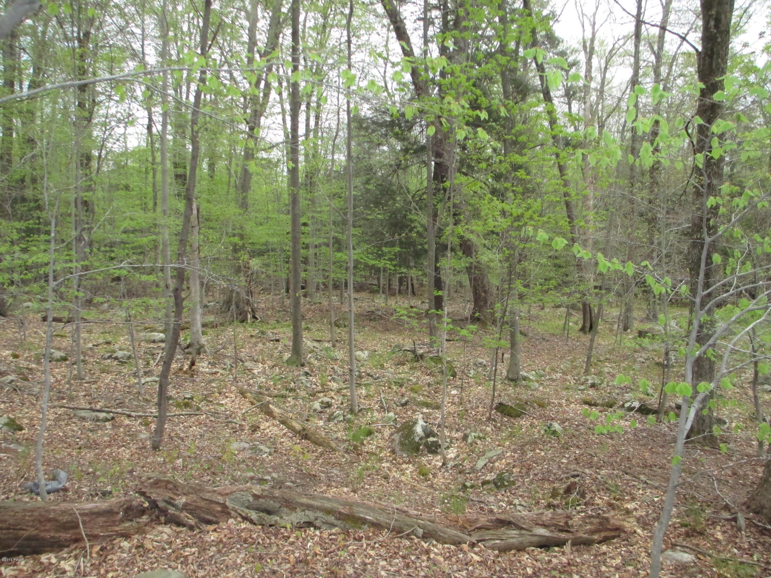 3868 Applegate Road Lake Ariel, PA 18436 - Photo 3 of 14