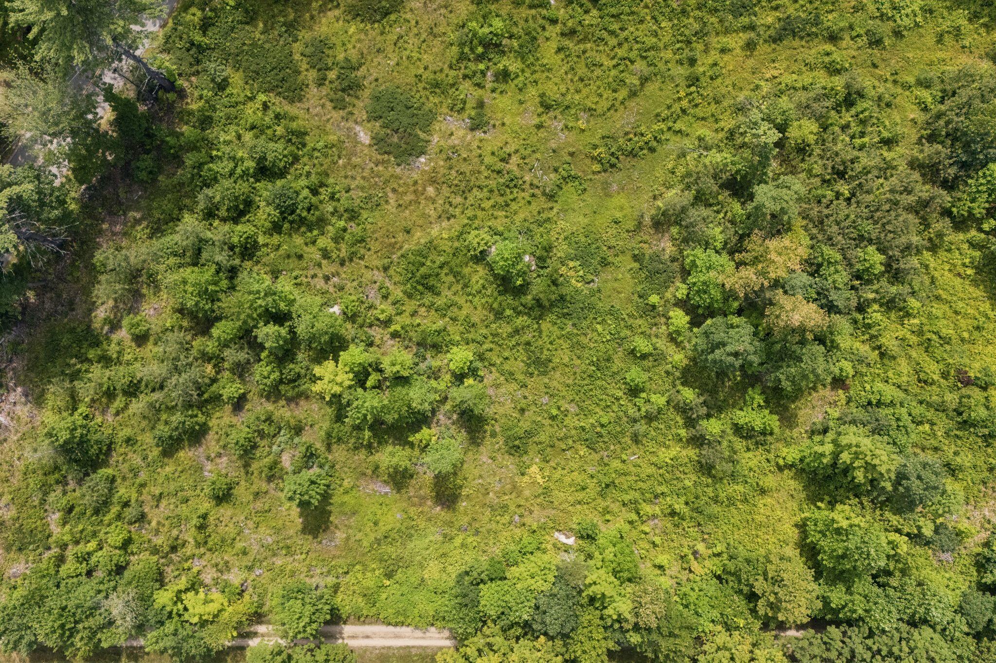 Tbd Hamilton Road Waterboro, ME 04087 - Photo 6 of 12 DJI_20250807234640_0142_D