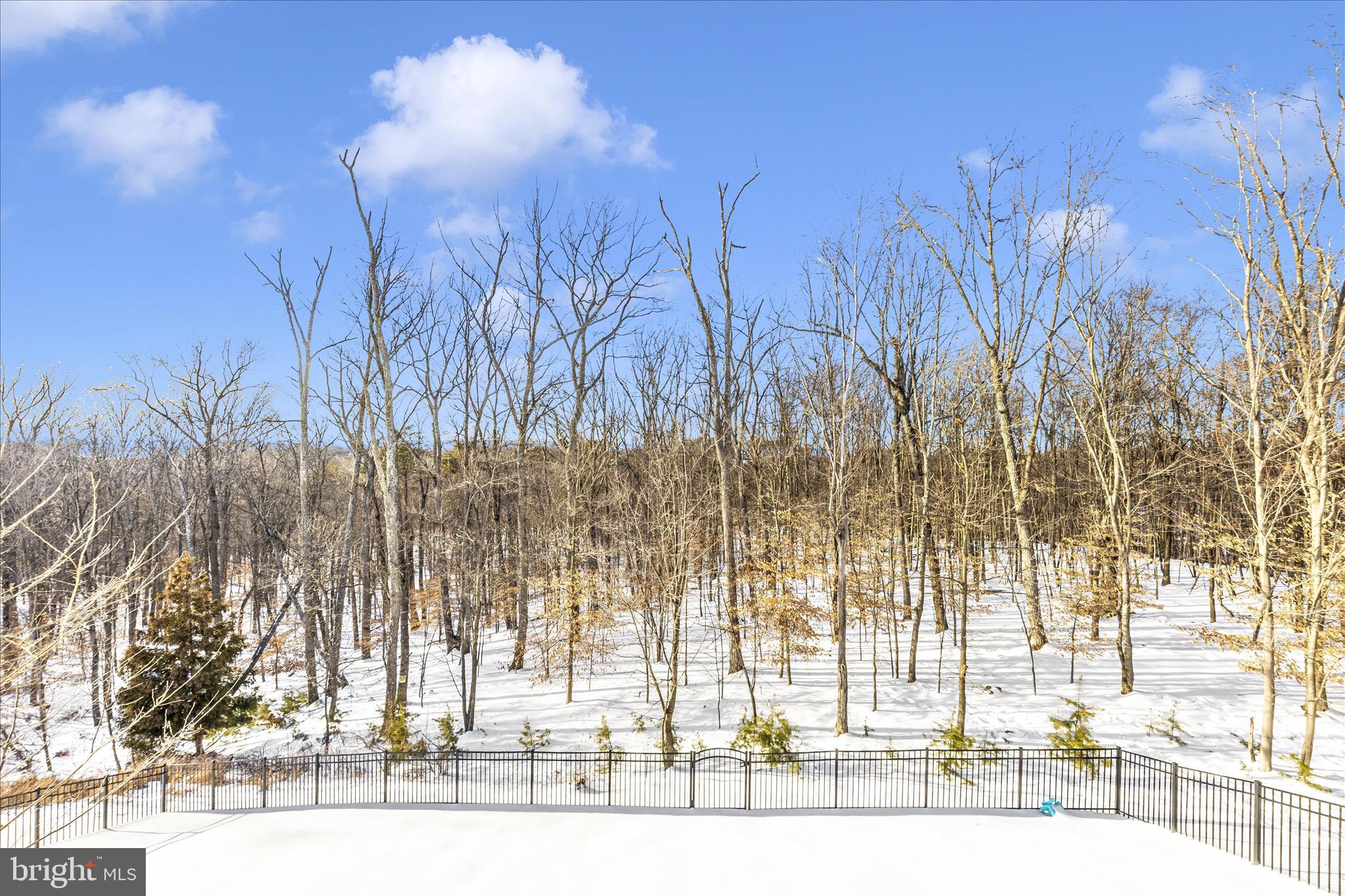 6832 Woodridge Road New Market, MD 21774 - Photo 42 of 49 Deck View