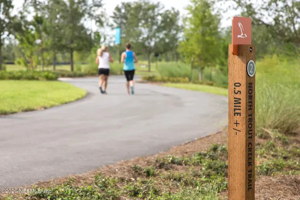 a view of a park with a tree