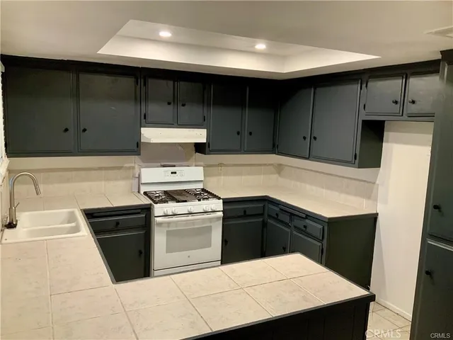 a kitchen with a sink dishwasher and a stove with wooden cabinets