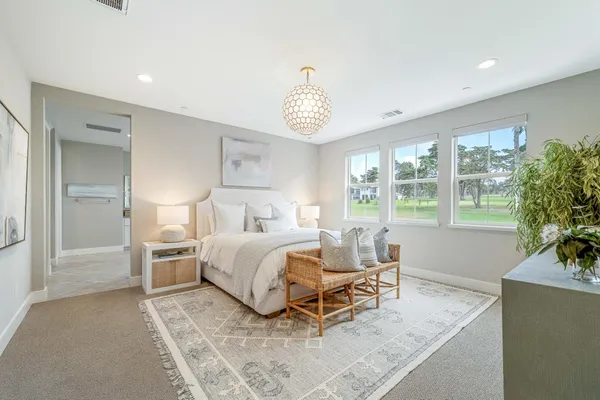 a view of a park with large trees