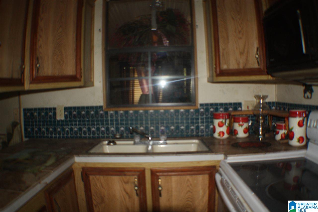 5915 County Road 275 Fort Payne, AL 35967 - Photo 5 of 22