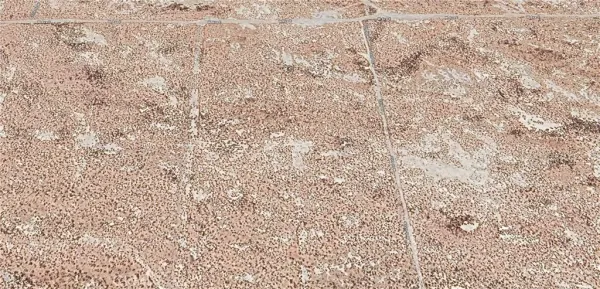 a close up of a plant