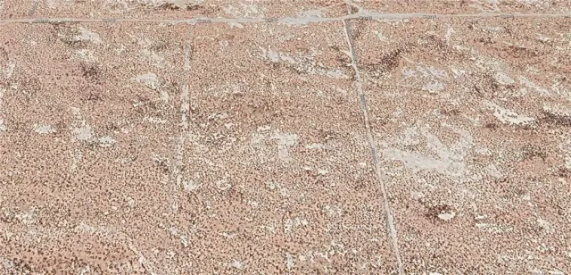 a close up of a plant