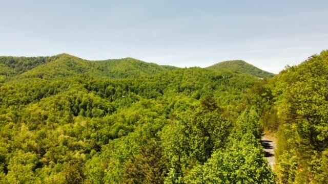 2481 Happy Hollow Road Sevierville, TN 37862 - Photo 14 of 30 Gallery Image 14