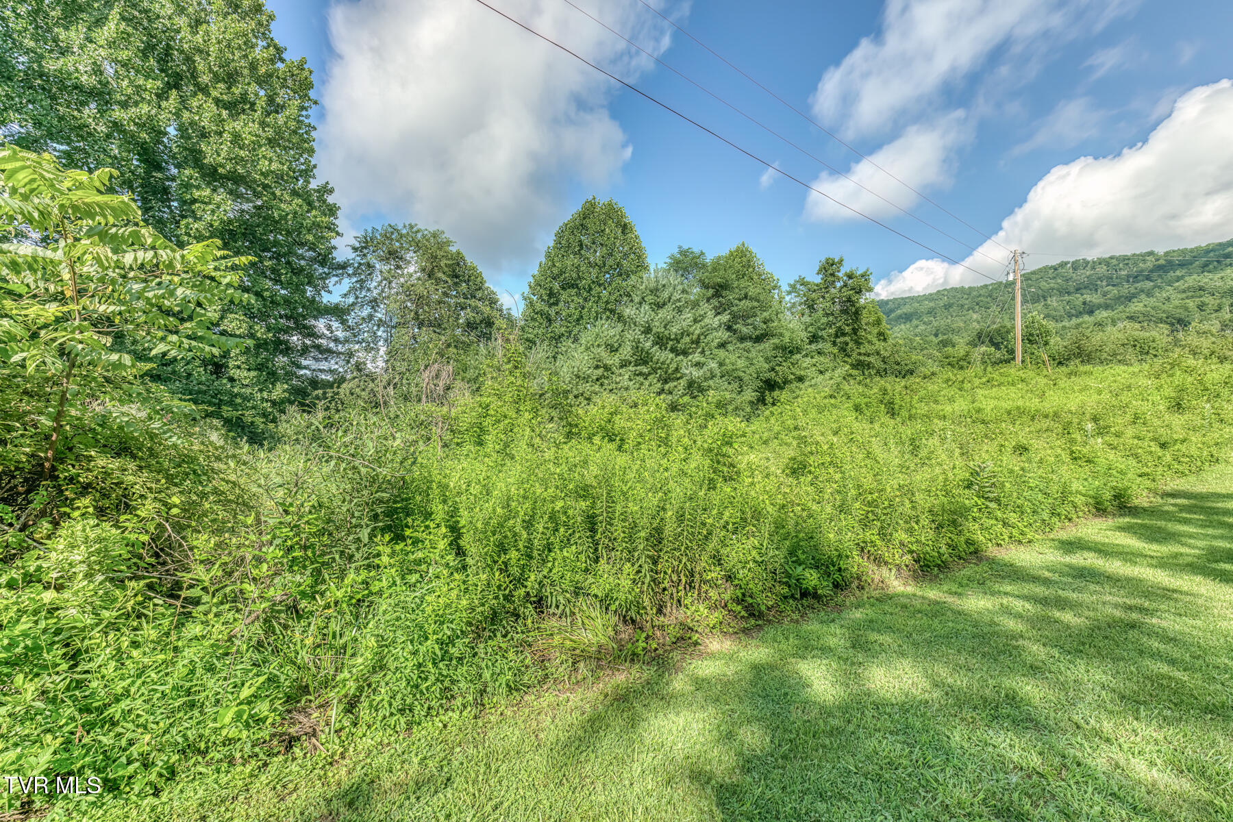 Tbd East Fire Tower Road Mountain City, TN 37683 - Photo 22 of 23 TBD Fire Tower Rd-19