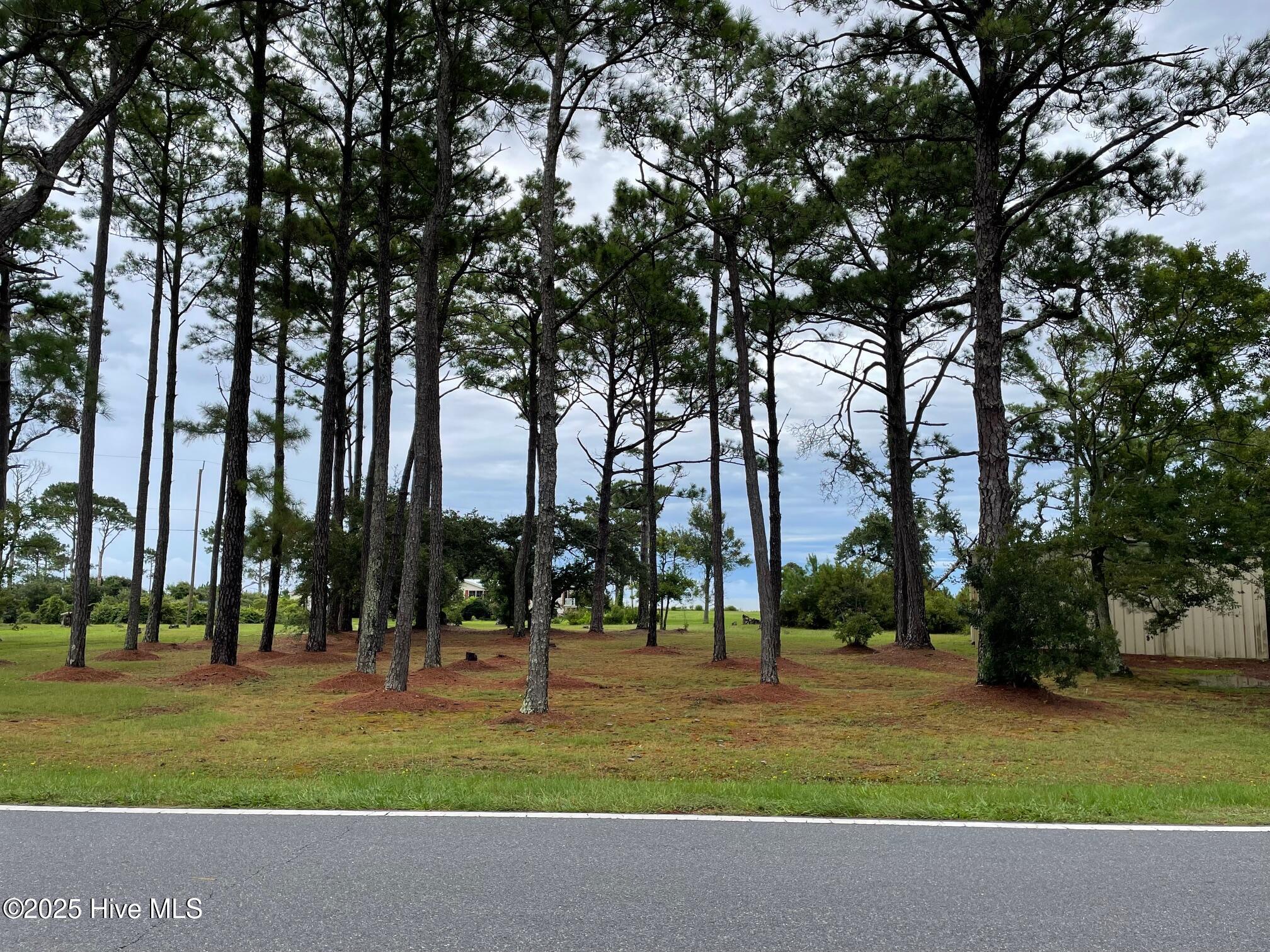 620 Seashore Drive Atlantic, NC 28511 - Photo 13 of 33 Road Frontage