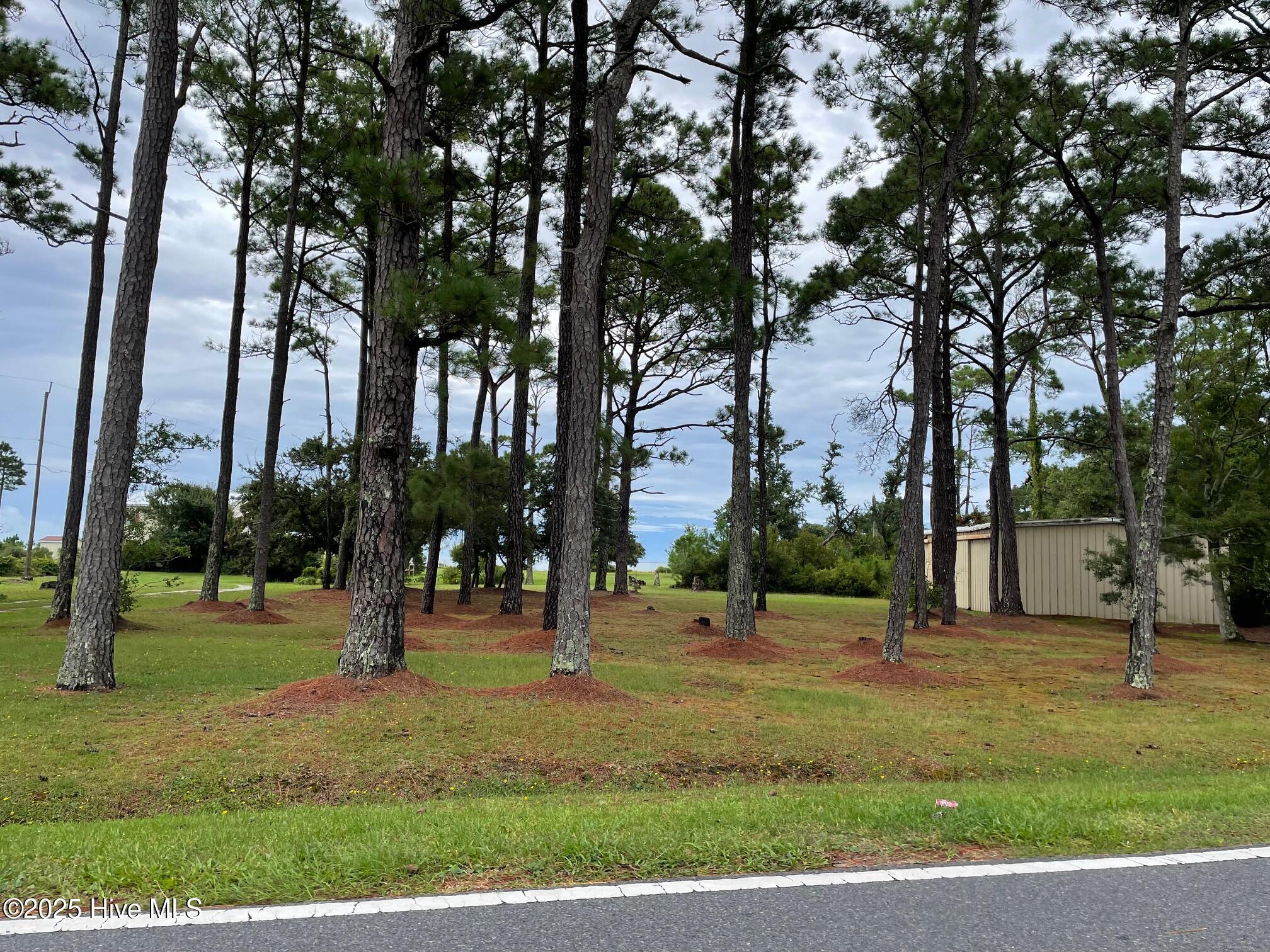 620 Seashore Drive Atlantic, NC 28511 - Photo 13 of 33 Road frontage